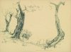 1928 - Ulivi a Sorrento